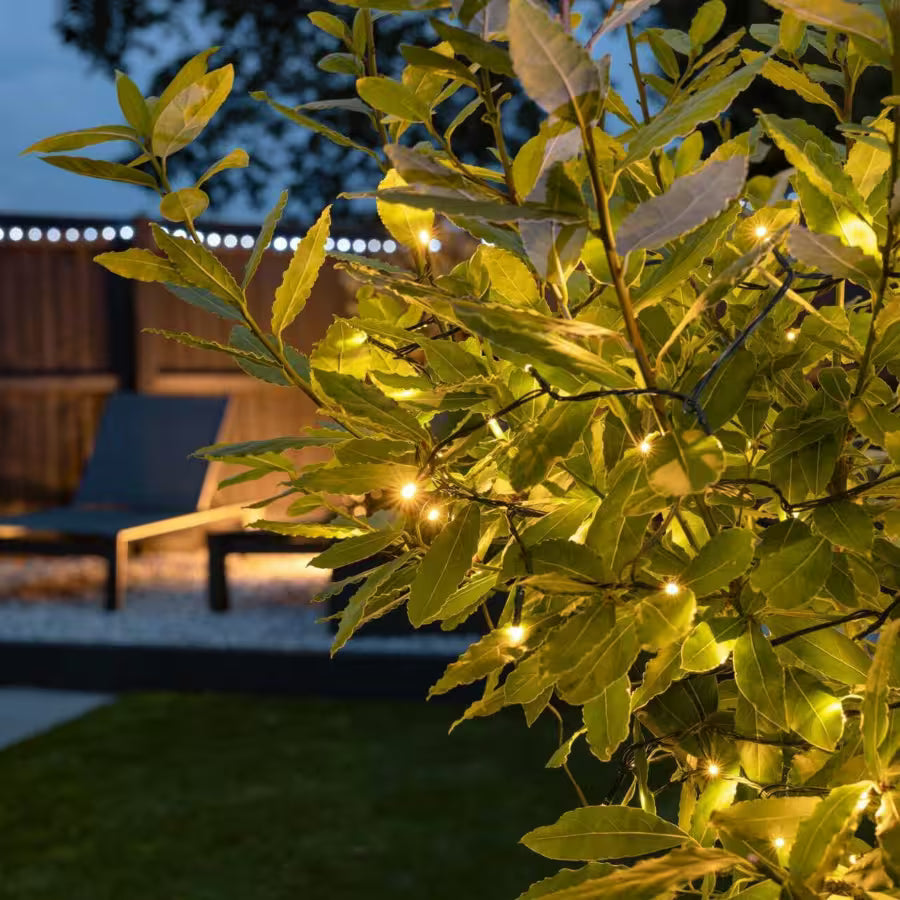 Luces led solares Calida - 20metros / 200leds